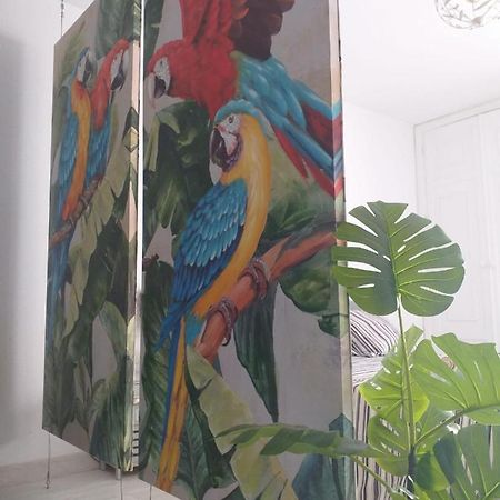 شقة Tropical Loft كوراليهو المظهر الخارجي الصورة