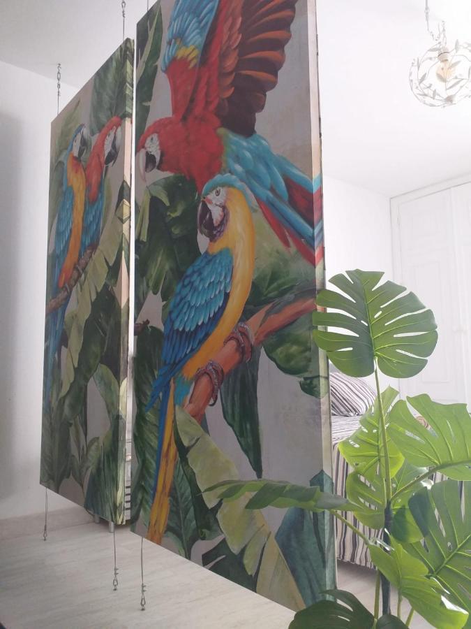شقة Tropical Loft كوراليهو المظهر الخارجي الصورة